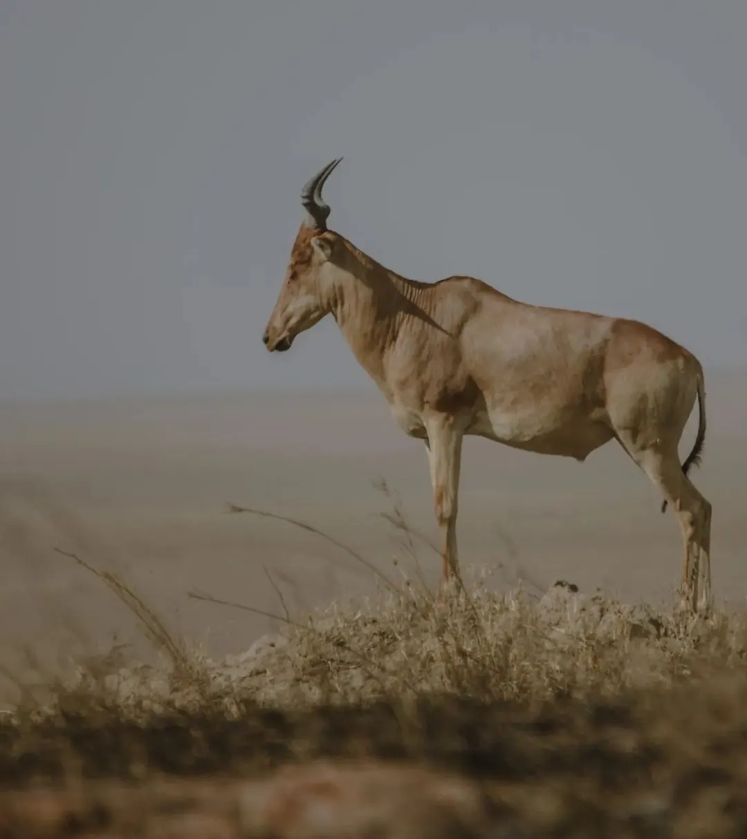 Tanzania destinations